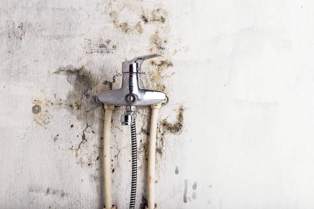 Best Local Mold Removal Service  in Chandler, OK