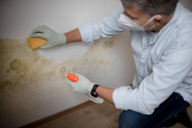 Best Emergency Mold Removal  in Chandler, OK