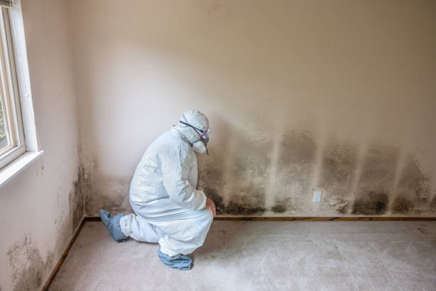 Best Residential Mold Removal  in Chandler, OK