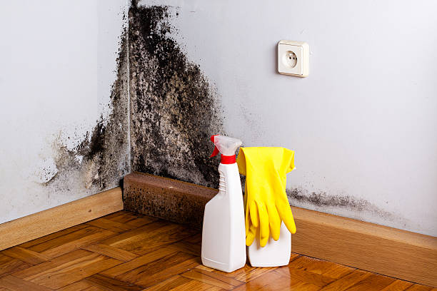 Best Professional Mold Removal  in Chandler, OK